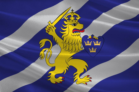 Gothenburg City Flag